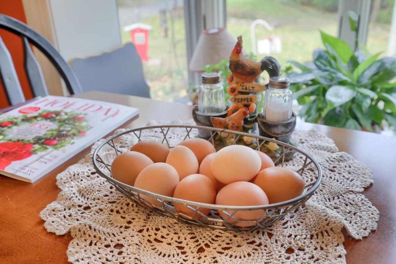 Hammer Creek Hideaway B&B Литиц Экстерьер фото